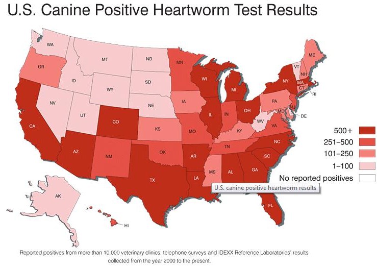 heartworms in dogs