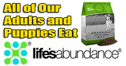 Life's Abundance Dog Food